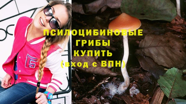 бошки Алзамай