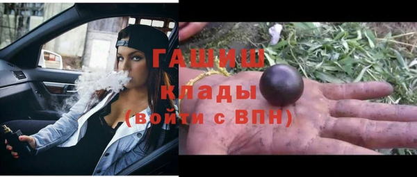 молекула духа Вяземский
